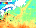 NOAA人工衛星画像:黒潮域, 1週間合成画像(2024/04/28～2024/05/04UTC)