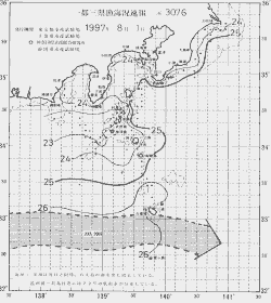 一都三県漁海況速報、関東・東海海況速報(1997/08/01)