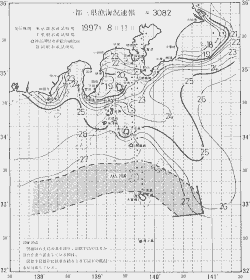 一都三県漁海況速報、関東・東海海況速報(1997/08/11)
