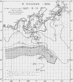 一都三県漁海況速報、関東・東海海況速報(1997/08/13)