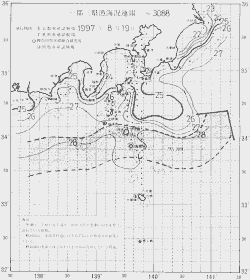 一都三県漁海況速報、関東・東海海況速報(1997/08/19)