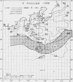 一都三県漁海況速報、関東・東海海況速報(1998/06/15)