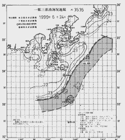 一都三県漁海況速報、関東・東海海況速報(1999/06/24)