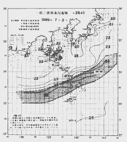 一都三県漁海況速報、関東・東海海況速報(1999/07/02)