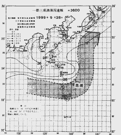 一都三県漁海況速報、関東・東海海況速報(1999/09/28)
