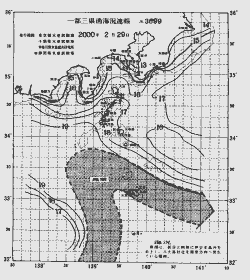 一都三県漁海況速報、関東・東海海況速報(2000/02/29)