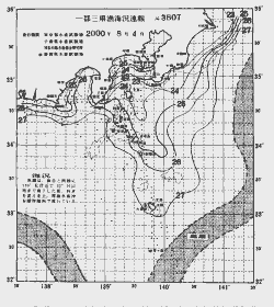 一都三県漁海況速報、関東・東海海況速報(2000/08/04)