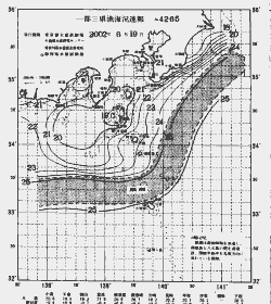 一都三県漁海況速報、関東・東海海況速報(2002/06/19)