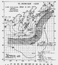 一都三県漁海況速報、関東・東海海況速報(2002/06/20)