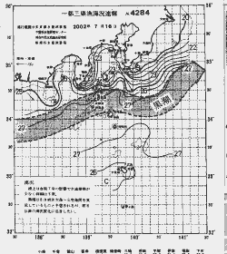 一都三県漁海況速報、関東・東海海況速報(2002/07/16)