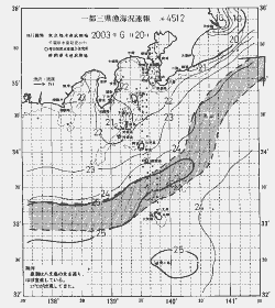 一都三県漁海況速報、関東・東海海況速報(2003/06/20)