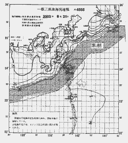 一都三県漁海況速報、関東・東海海況速報(2003/08/21)
