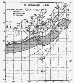 一都三県漁海況速報、関東・東海海況速報(2004/04/24)