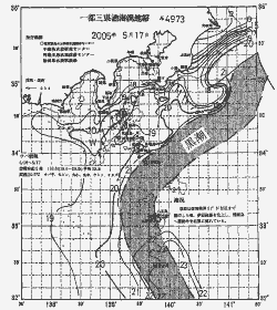 一都三県漁海況速報、関東・東海海況速報(2005/05/17)