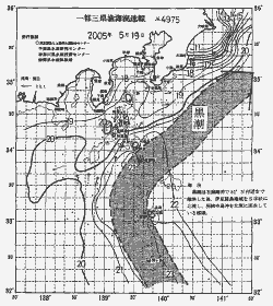 一都三県漁海況速報、関東・東海海況速報(2005/05/19)