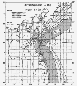 一都三県漁海況速報、関東・東海海況速報(2005/05/21)