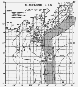 一都三県漁海況速報、関東・東海海況速報(2005/06/18)