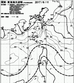 一都三県漁海況速報、関東・東海海況速報(2017/06/11)