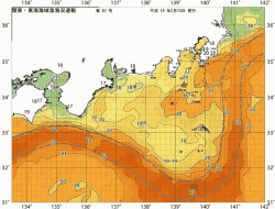 関東・東海海況速報/広域(2007/05/15)