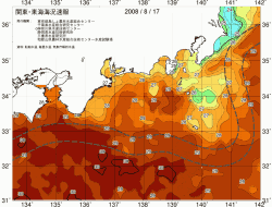 関東・東海海況速報/広域(2008/08/17)