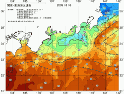 関東・東海海況速報/広域(2009/08/06)