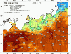 関東・東海海況速報/広域(2009/08/11)