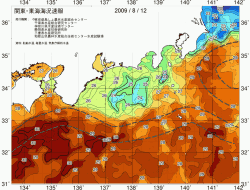 関東・東海海況速報/広域(2009/08/12)
