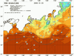 関東・東海海況速報/広域(2009/08/23)