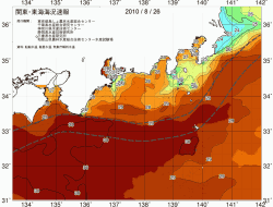 関東・東海海況速報/広域(2010/08/26)