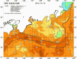 関東・東海海況速報/広域(2013/06/10)