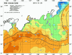 関東・東海海況速報/広域(2013/06/25)