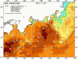 関東・東海海況速報/広域(2013/07/29)