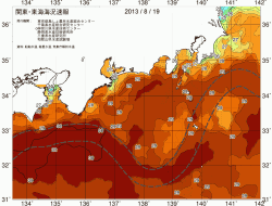関東・東海海況速報/広域(2013/08/19)