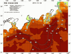 関東・東海海況速報/広域(2013/08/24)