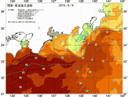 関東・東海海況速報/広域(2016/08/09)
