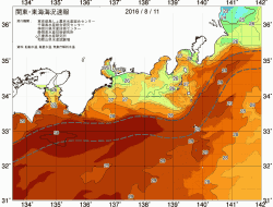 関東・東海海況速報/広域(2016/08/11)
