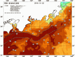 関東・東海海況速報/広域(2016/08/22)