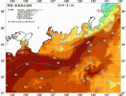 関東・東海海況速報/広域(2016/08/24)