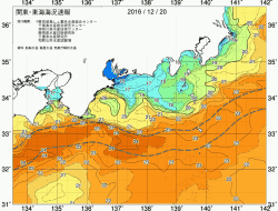 関東・東海海況速報/広域(2016/12/20)