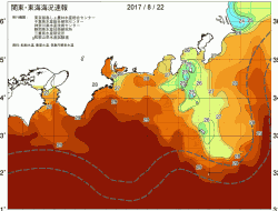 関東・東海海況速報/広域(2017/08/22)