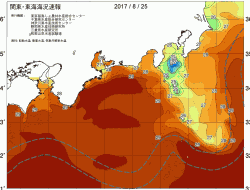 関東・東海海況速報/広域(2017/08/25)