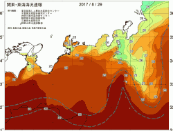 関東・東海海況速報/広域(2017/08/29)