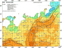 関東・東海海況速報/広域(2020/06/20)