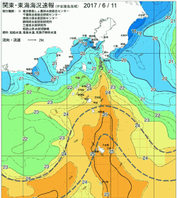関東・東海海況速報/伊豆諸島海域(2017/06/11)