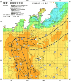 関東・東海海況速報/伊豆諸島海域(2021/06/12)