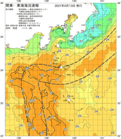 関東・東海海況速報/伊豆諸島海域(2021/06/13)