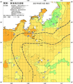 関東・東海海況速報/伊豆諸島海域(2021/08/10)
