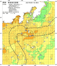 関東・東海海況速報/伊豆諸島海域(2021/08/11)