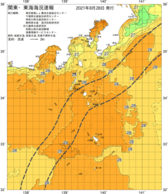 関東・東海海況速報/伊豆諸島海域(2021/08/28)