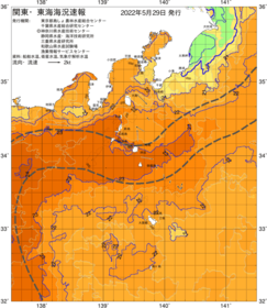 関東・東海海況速報/伊豆諸島海域(2022/05/29)